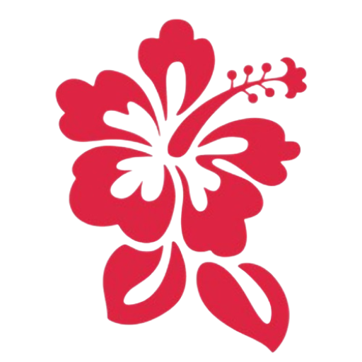 Logo Solidarité et Fraternité pour les enfants d'Haïti